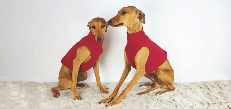 Canisenti Hundejumper