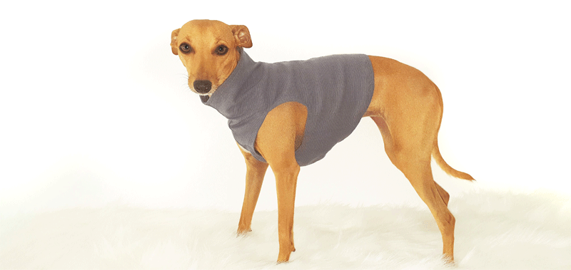 Canisenti Sweater f&uuml;r Hunde
