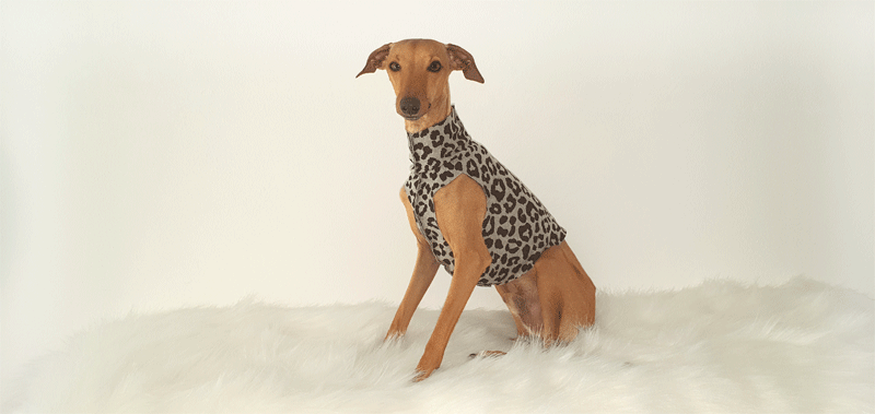 Canisenti Hundesweater