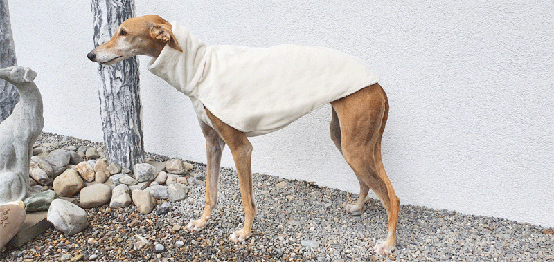 Canisenti Windhundshirt