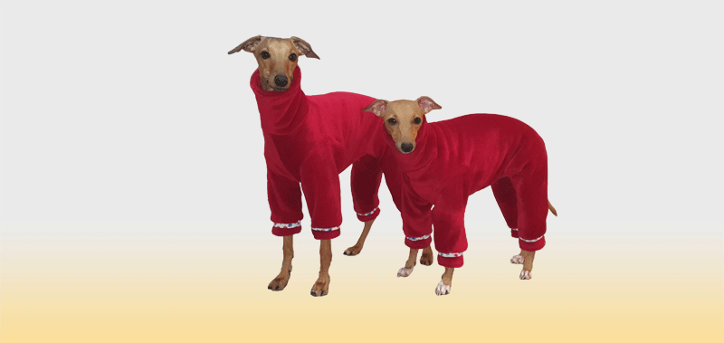 Canisenti Windhundshirt