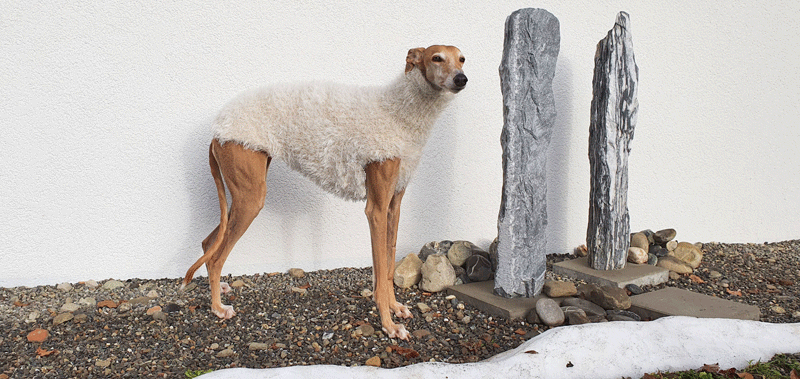 Canisenti Hundejumper