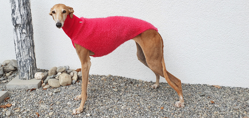 Canisenti Sweater f&uuml;r Hunde