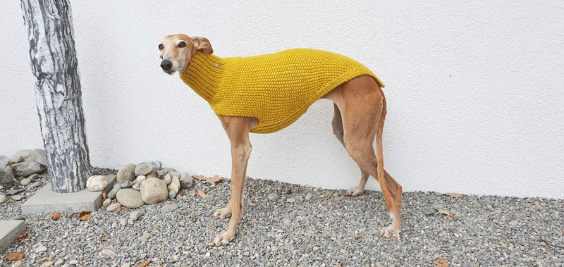 Canisenti Hundesweatshirt