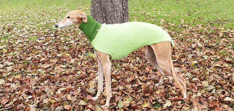 Canisenti Winhundshirt