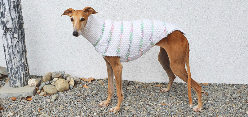 Canisenti Winhundshirt