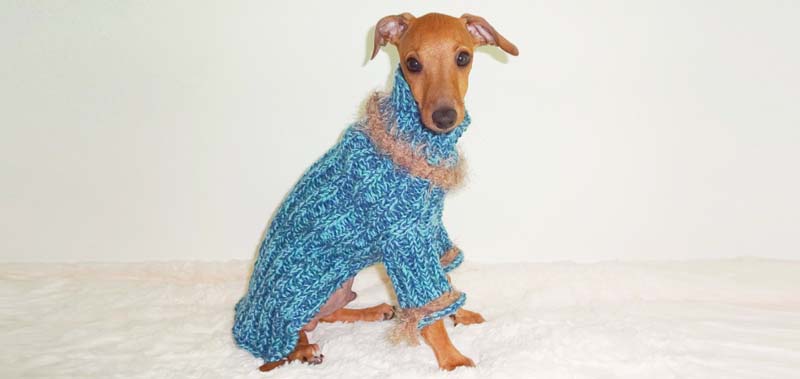 Canisenti Winhundshirt