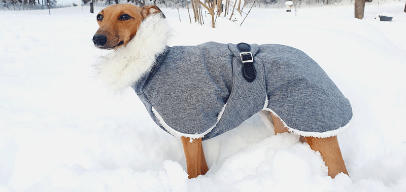 Canisenti Sweater f&uuml;r Hunde