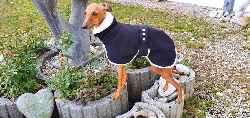 Canisenti Windhundtop