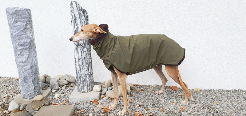 Canisenti Windhundtop