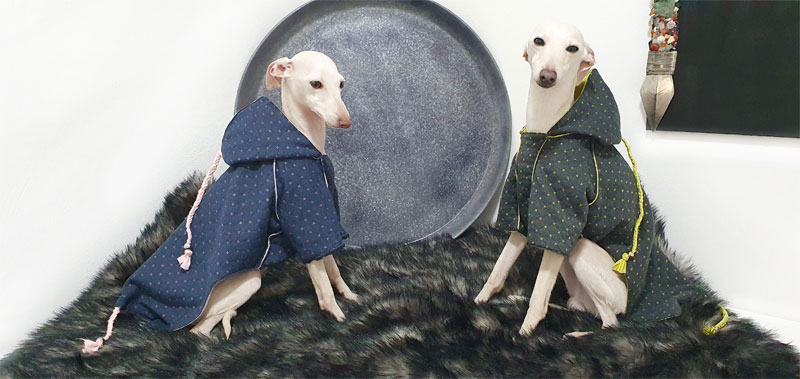 Canisenti Sweater f&uuml;r Hunde