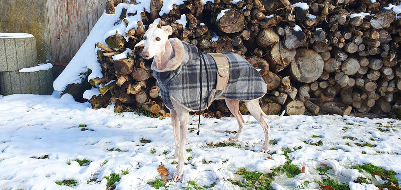 Canisenti Sweater f&uuml;r Hunde