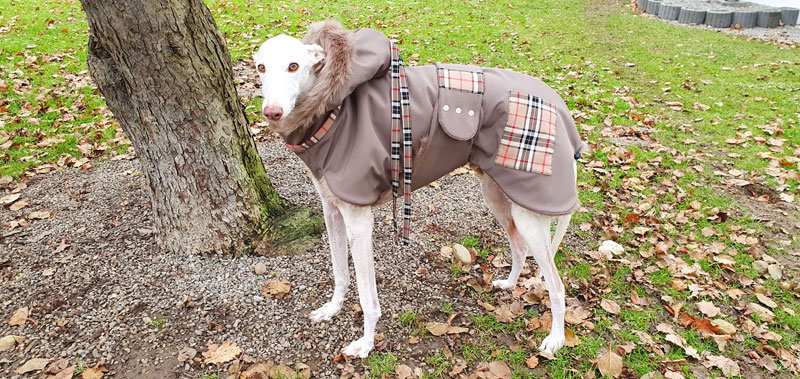 Canisenti Sweater f&uuml;r Hunde