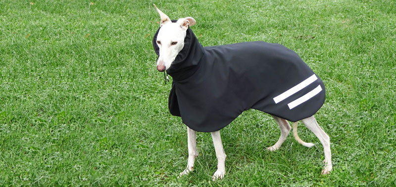 Canisenti Winhundshirt