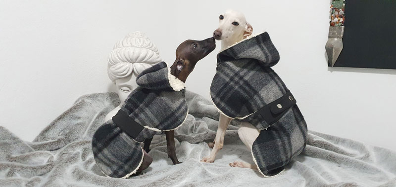 Canisenti Kapuzenmantel grey