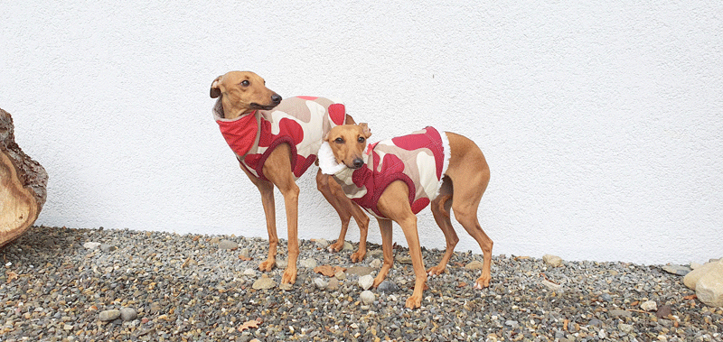 Canisenti Windhundshirt