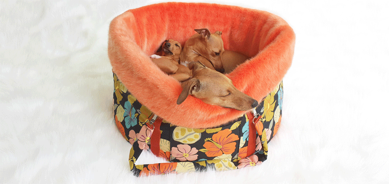 Canisenti Hundetasche