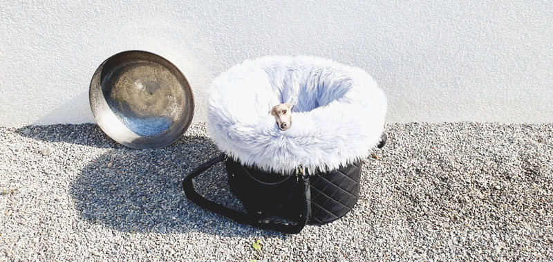 Canisenti Hundetasche