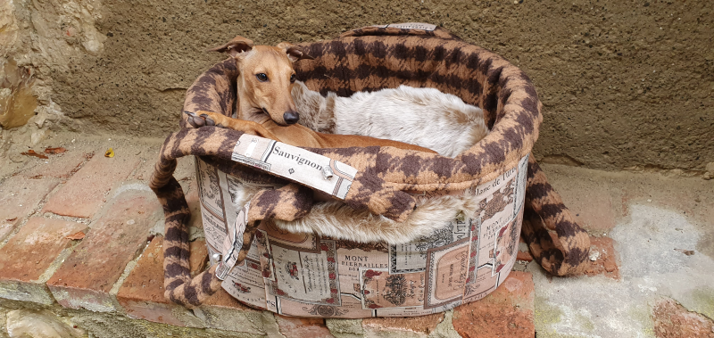 Canisenti Hundetasche