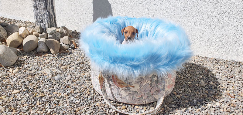 Canisenti Hundetasche