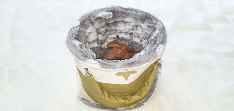 Canisenti Hundetasche