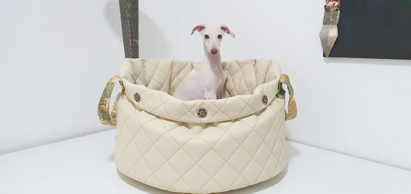 Canisenti Hundetasche