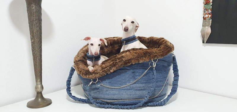 Canisenti Hundetasche