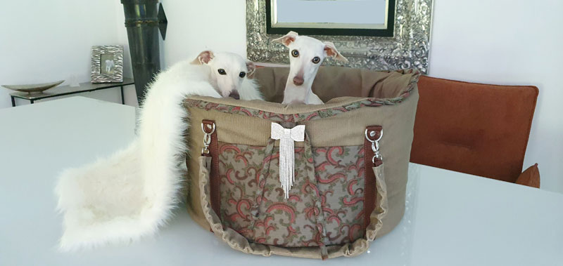 Canisenti Hundetasche