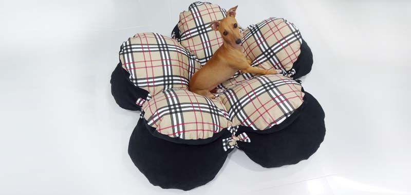 Canisenti Hundekissen