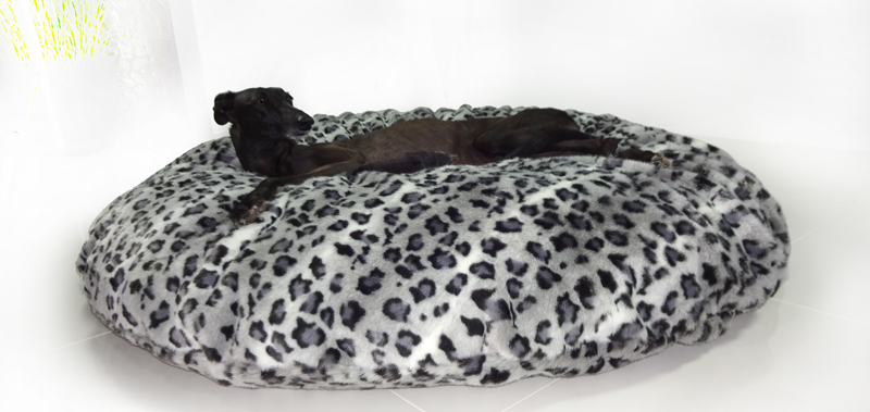 Canisenti Hundekissen