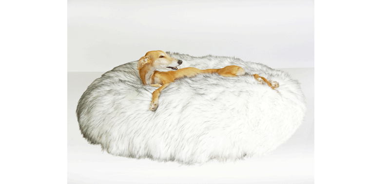 Canisenti Hundekissen