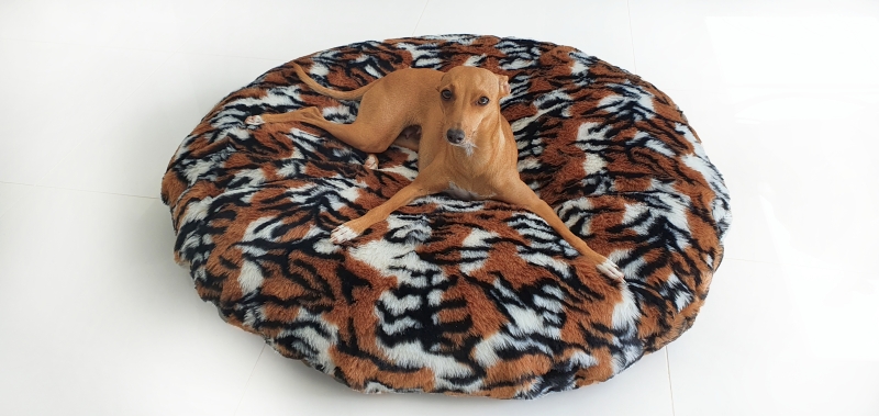 Canisenti Hundekissen