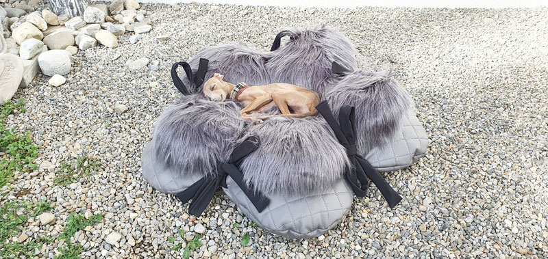 Canisenti Hundekissen