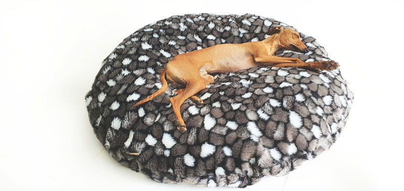 Canisenti Hundekissen