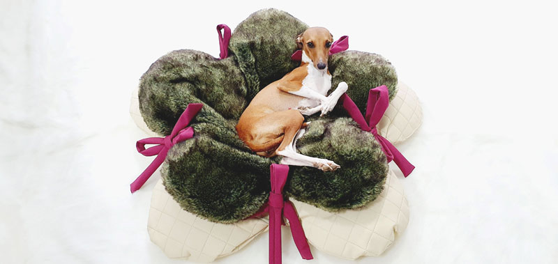 Canisenti Hundekissen