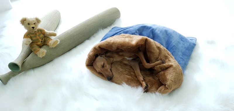 Canisenti Hundeschlafsack Kuschelsack