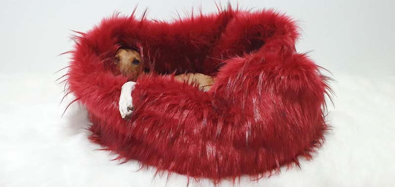 Canisenti Hundeschlafsack Kuschelsack