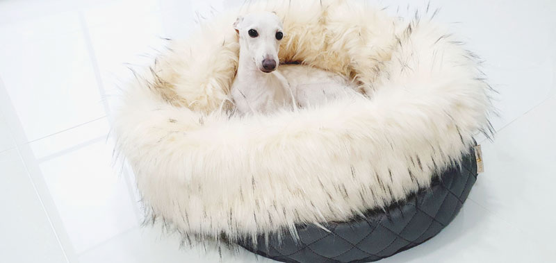 Canisenti Hundeschlafsack Kuschelsack