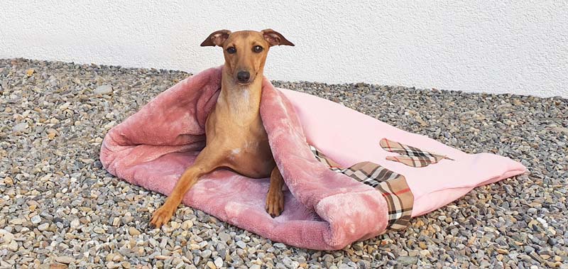Canisenti Hundeschlafsack Kuschelsack