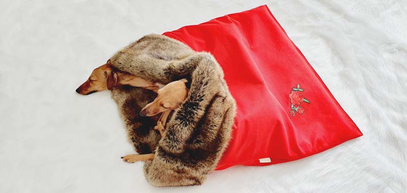 Canisenti Hundeschlafsack Kuschelsack