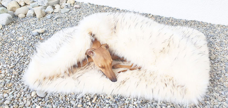 Canisenti Hundeschlafsack Kuschelsack