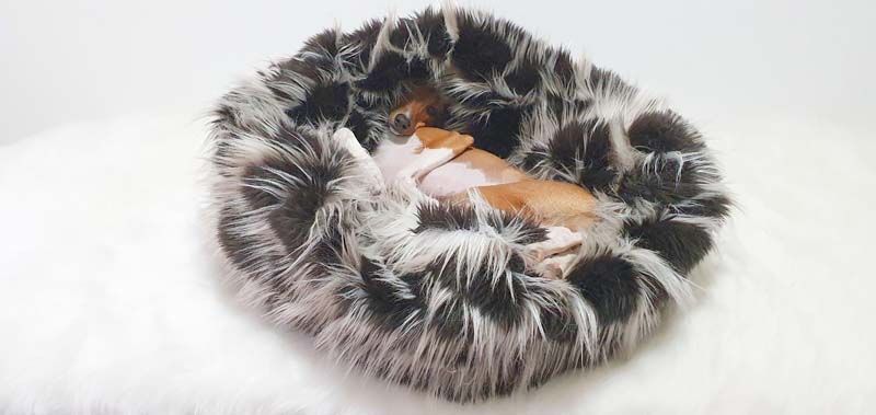 Canisenti Hundeschlafsack Kuschelsack