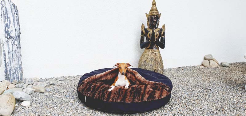 Canisenti Snuggle Kuschelhoele