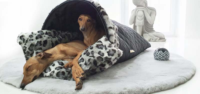 Canisenti Snuggle Kuschelhoele