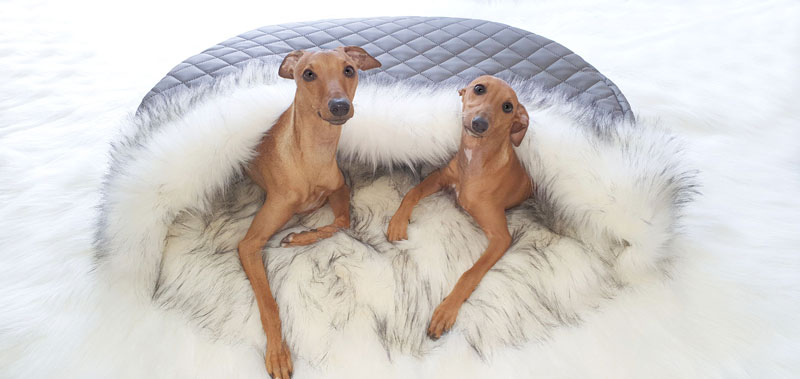 Canisenti Snuggle Kuschelhoele