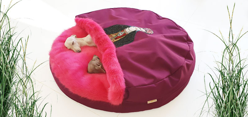 Canisenti Snuggle Kuschelhoele