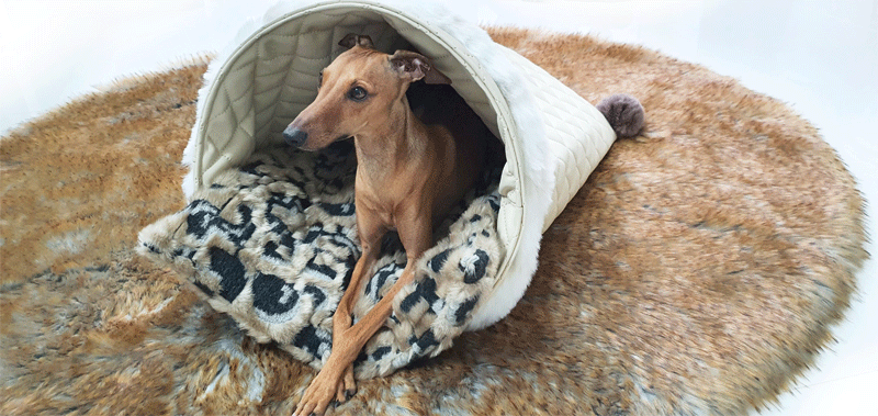 Canisenti Snuggle Kuschelhoele