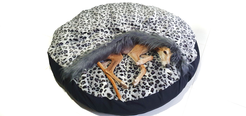 Canisenti Snuggle Kuschelhoele