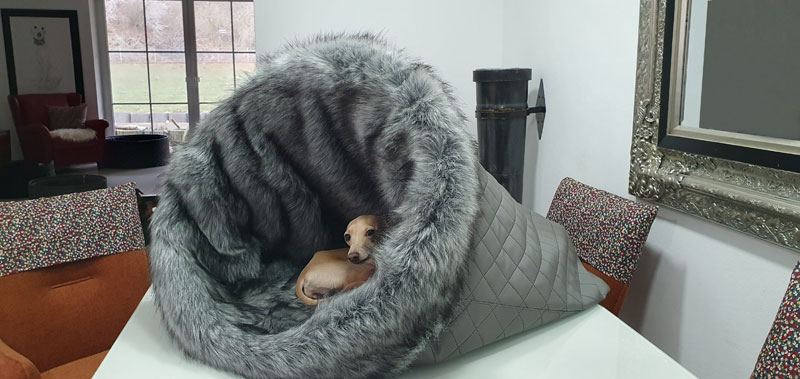 Canisenti Snuggle Kuschelhoele