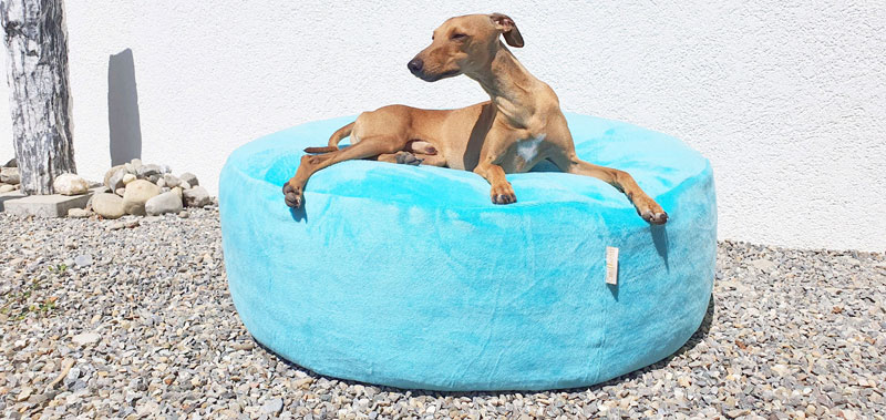 Canisenti Hunde-Schlafplatz-Pouf